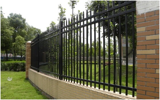 �����ř�